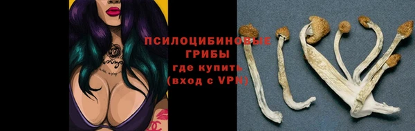 spice Абдулино